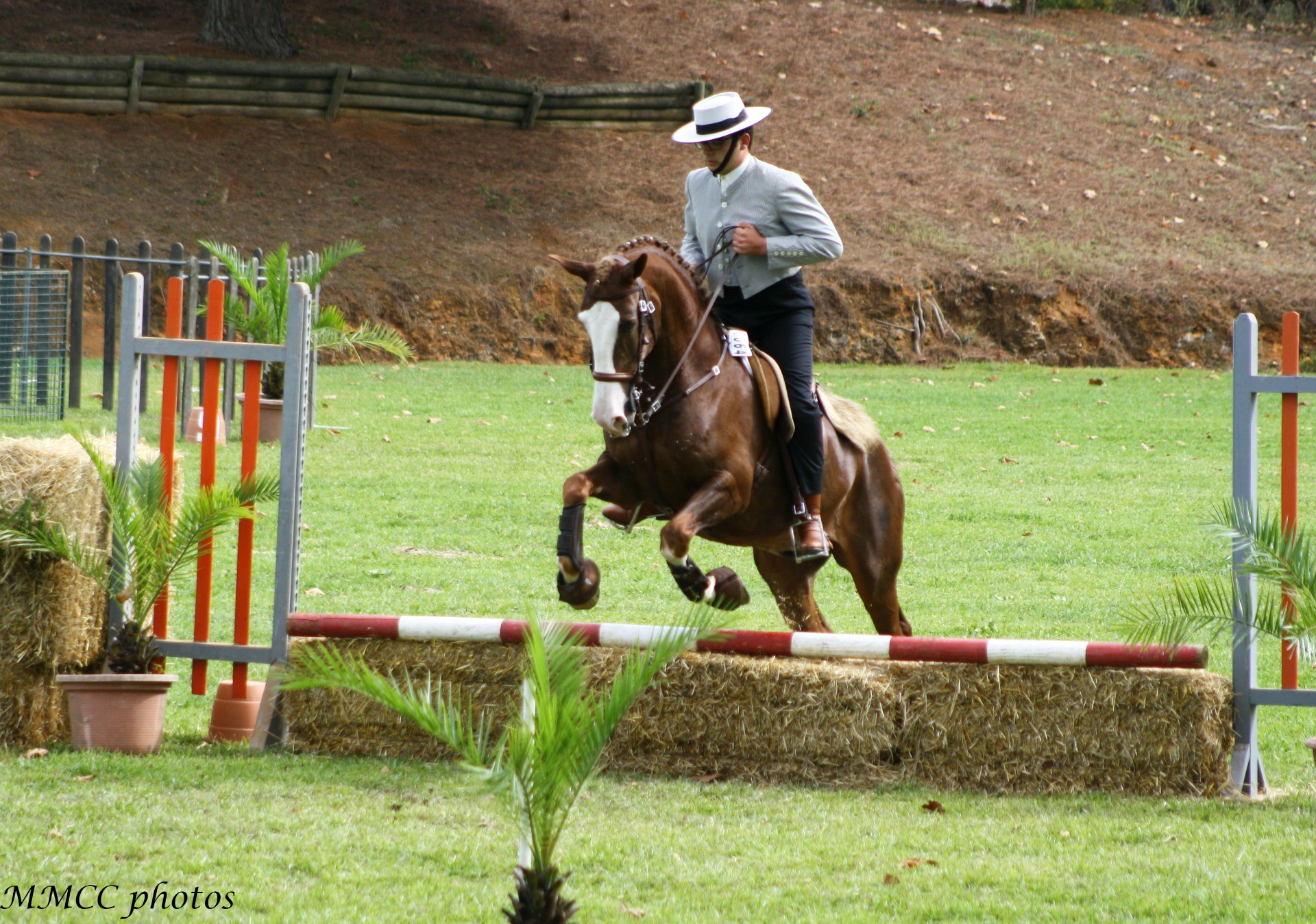 Carlos Santos com Obélix IV.