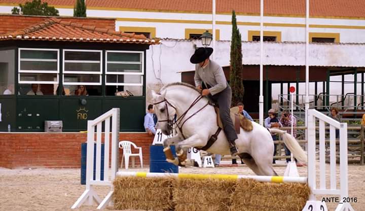 Carlos Santos com Tudor.